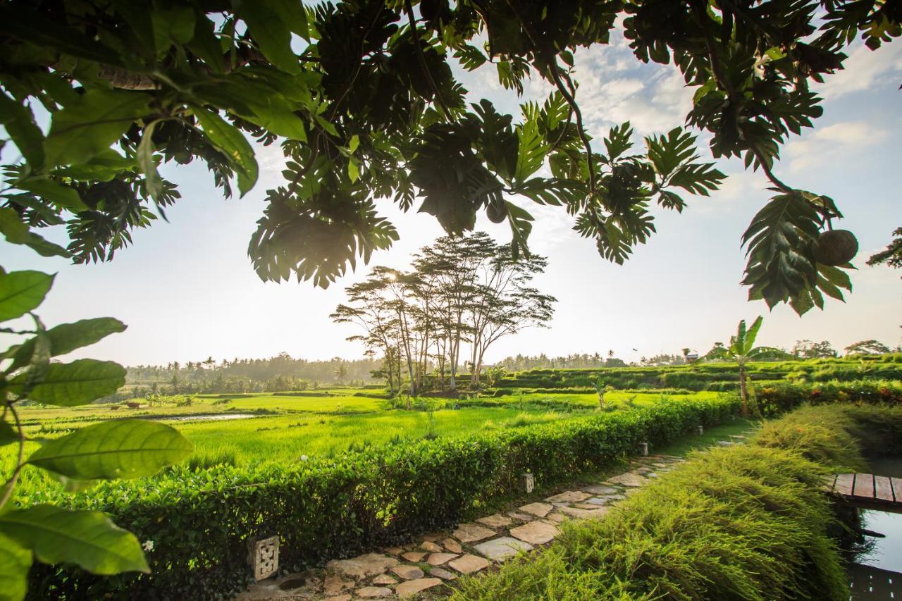 Griya Kcb Villa Ubud Exterior foto