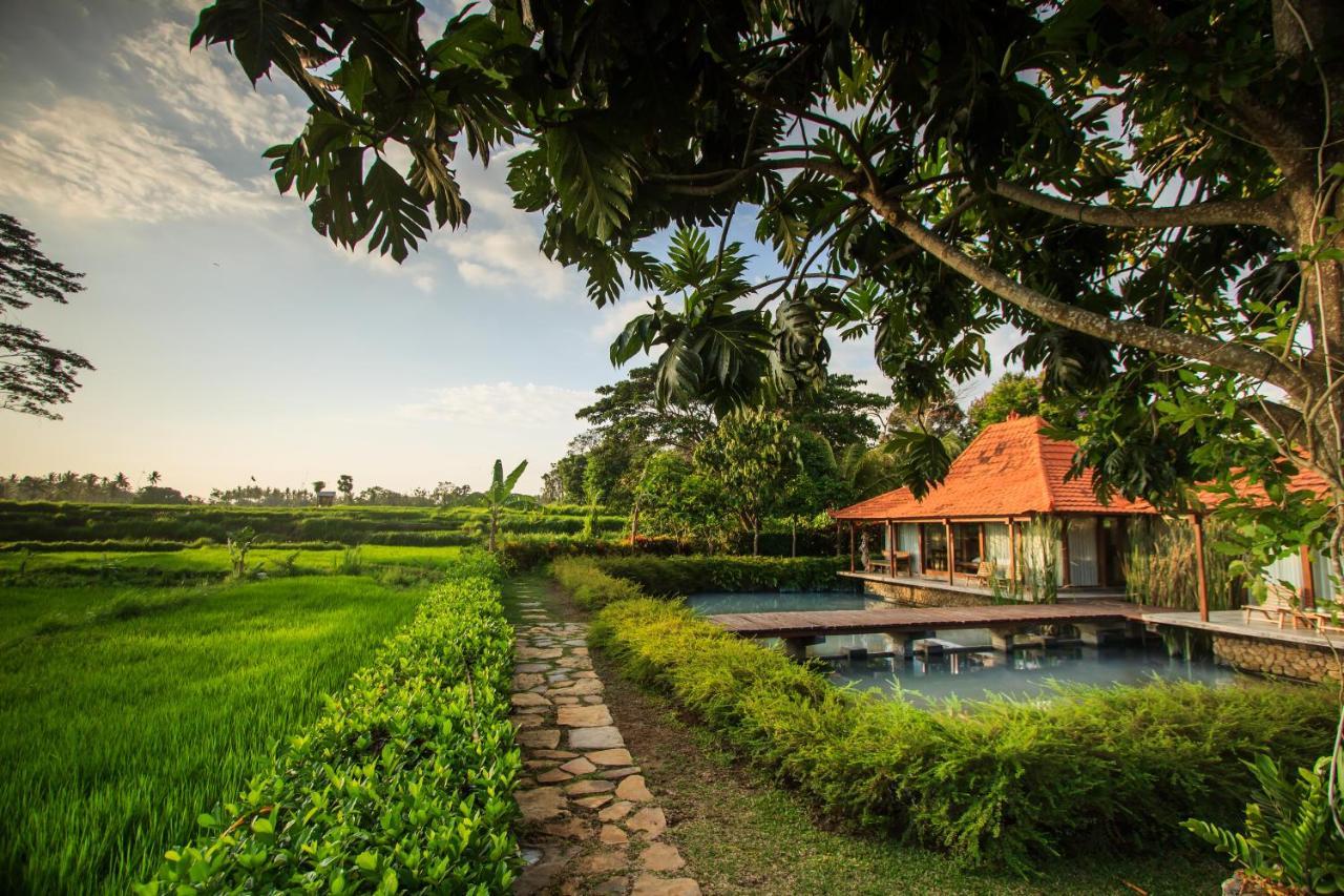 Griya Kcb Villa Ubud Exterior foto