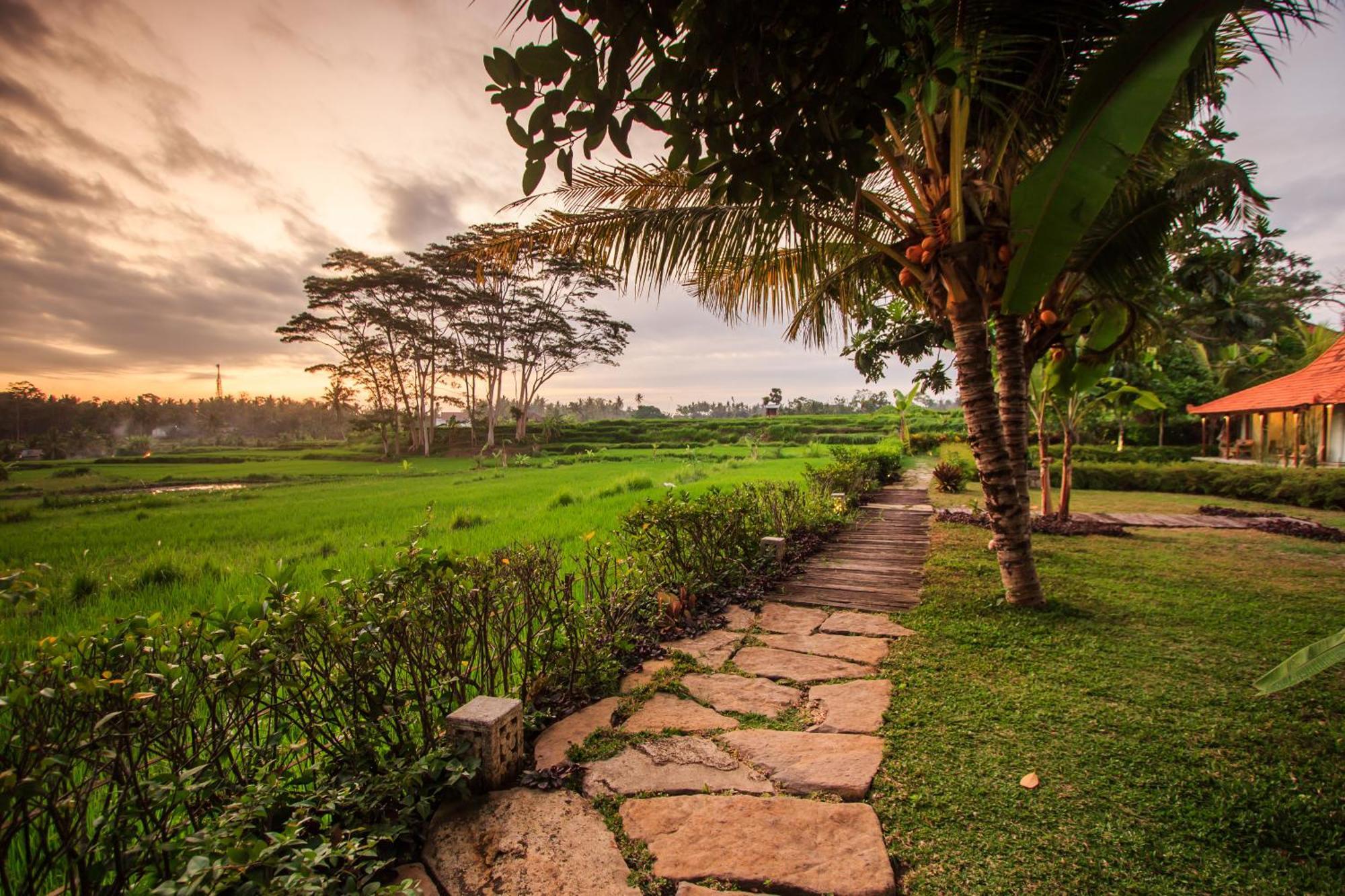 Griya Kcb Villa Ubud Exterior foto